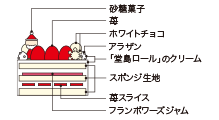 截面图