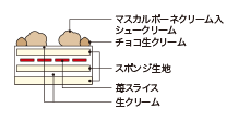 截面图