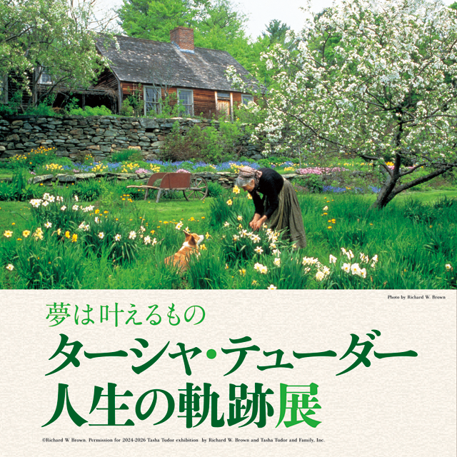 梦想是能实现的泰莎·泰德人生的轨迹展