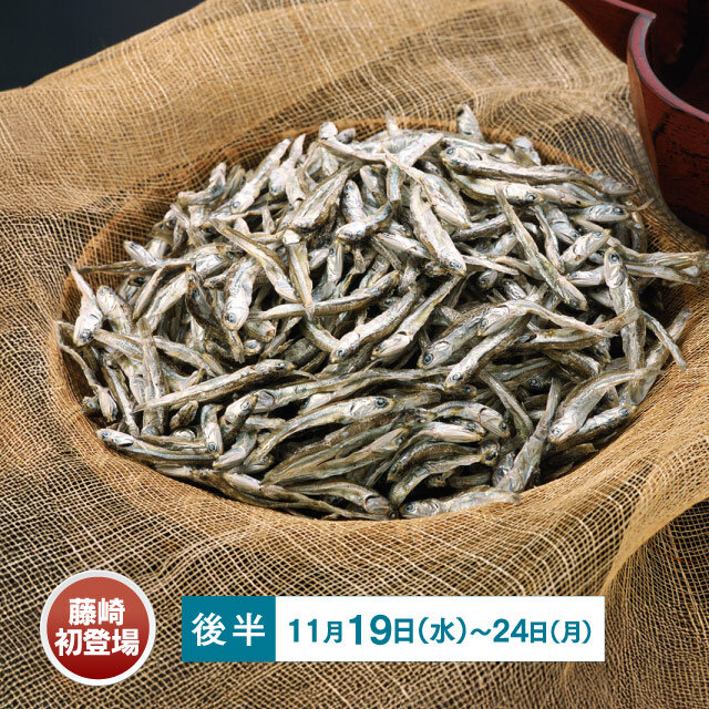 濑户内的银鳞りこ